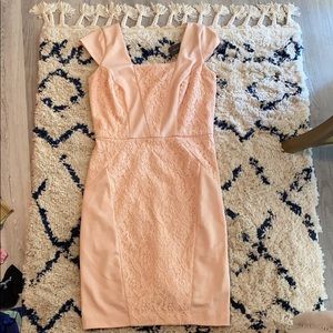 Pale pink The Limited dress